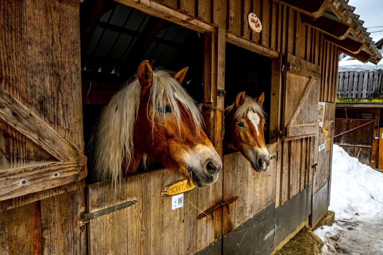 Apartments Farm House Uric Jesenice Eksteriør billede
